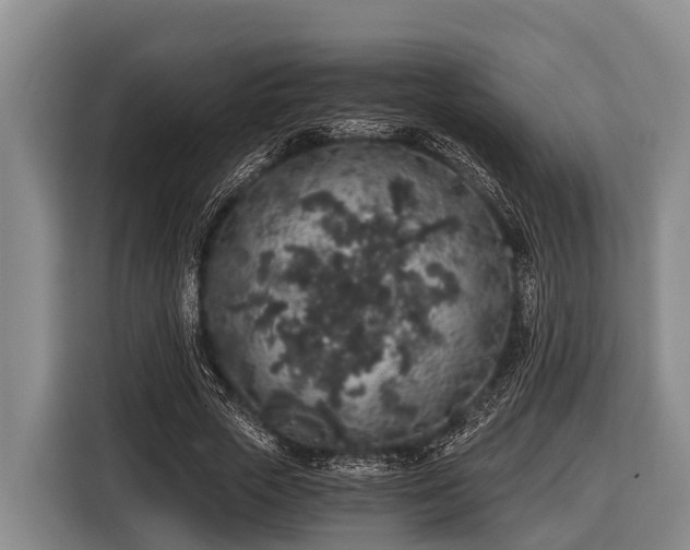 X0000116860729200912291259