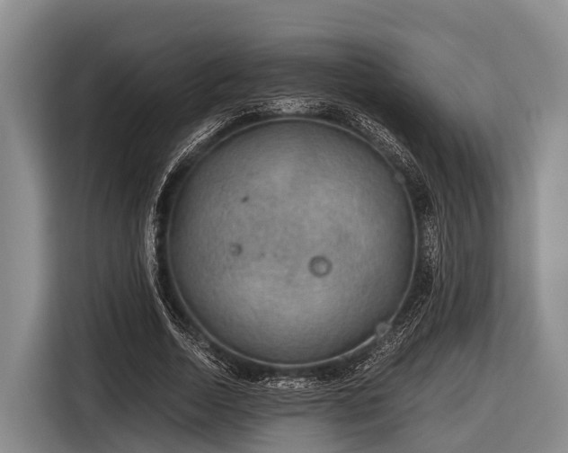 X0000116860730200912291259