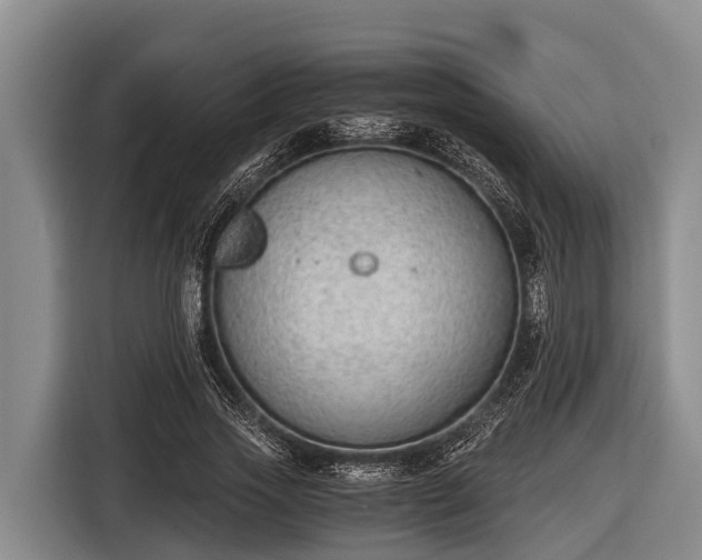 X0000116860733200912291259