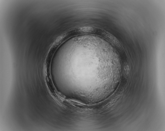 X0000116860734200912291259