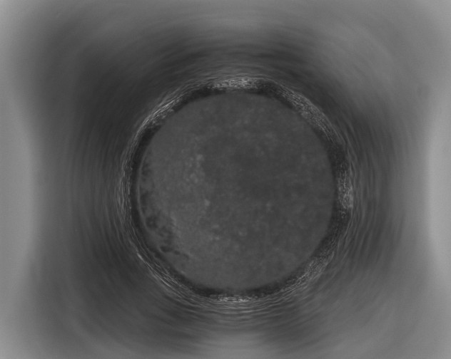 X0000116860735200912291259