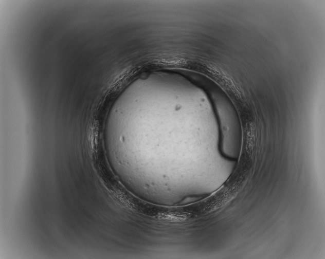 X0000116860739200912291259