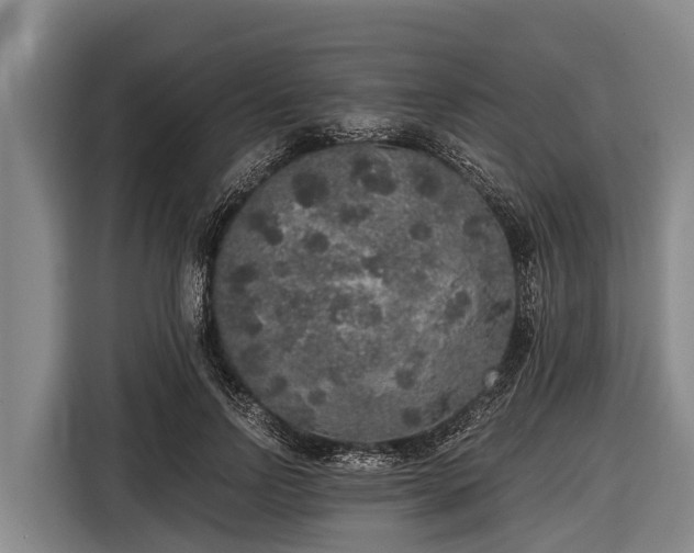 X0000116860742200912291259