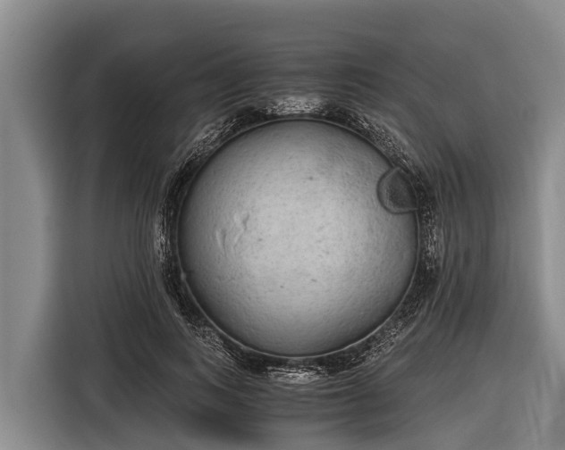 X0000116860743200912291259