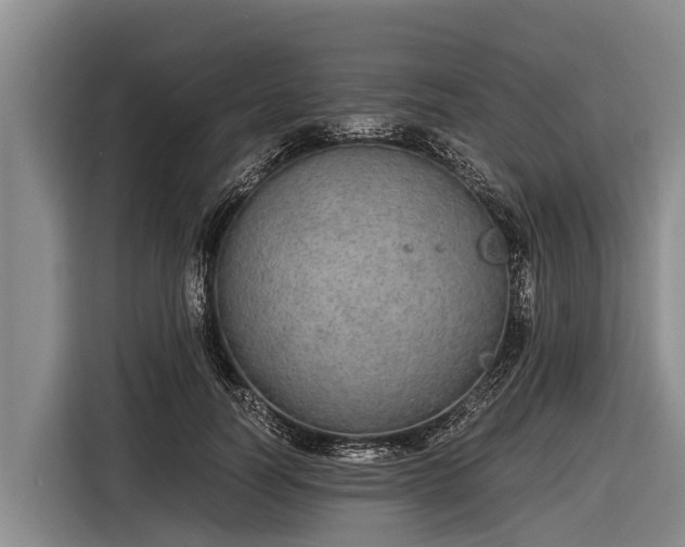 X0000116860746200912291259