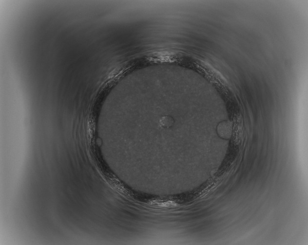 X0000116860747200912291259