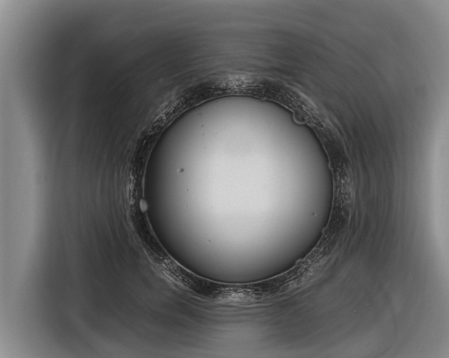 X0000116860750200912291259