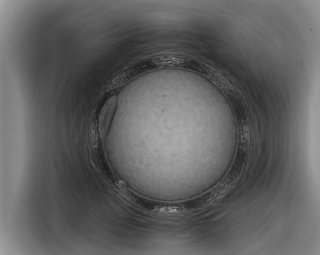 X0000116860751200912291259