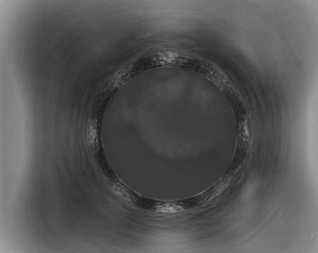 X0000116860754200912291259