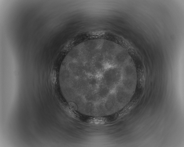 X0000116860758200912291259