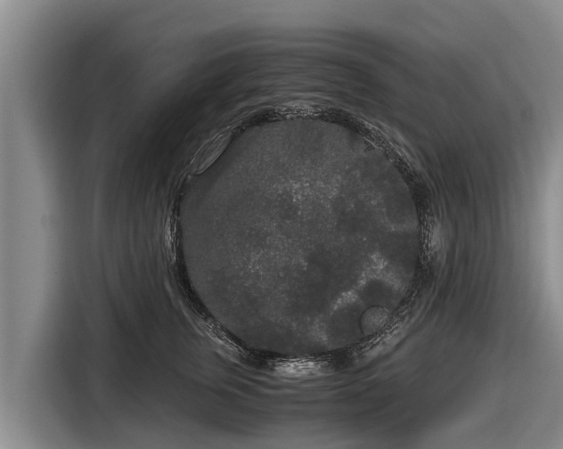 X0000116860759200912291259