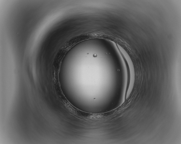 X0000116860762200912291300