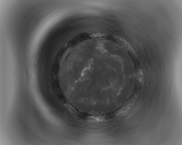 X0000116860763200912291300