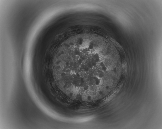 X0000116860765200912291300