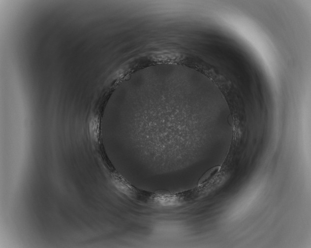 X0000116860767200912291300