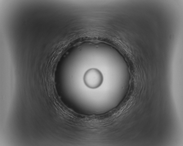 X0000116860769200912291259