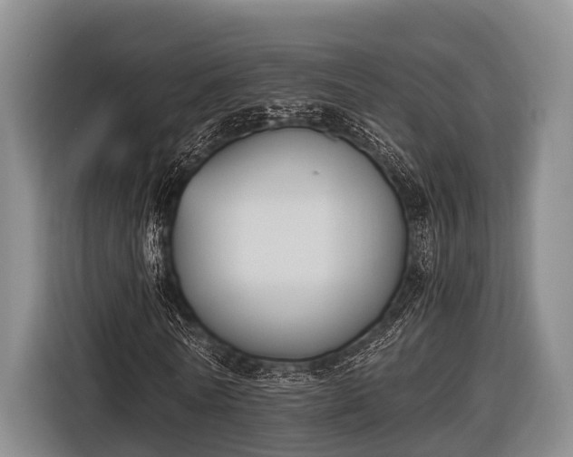 X0000116860770200912291259