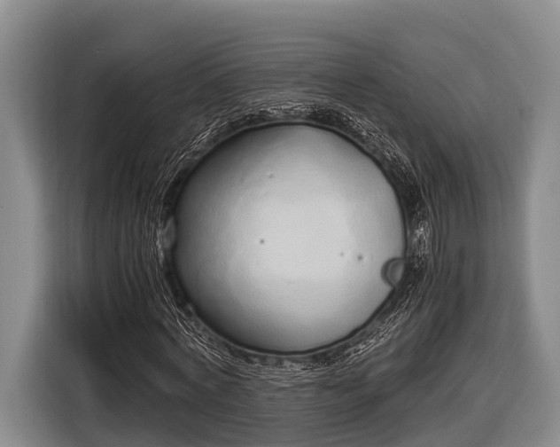 X0000116860772200912291259