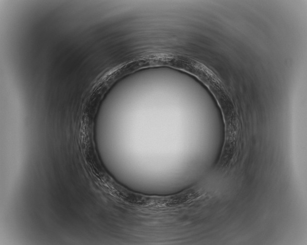 X0000116860773200912291259