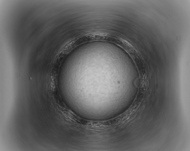 X0000116860774200912291259