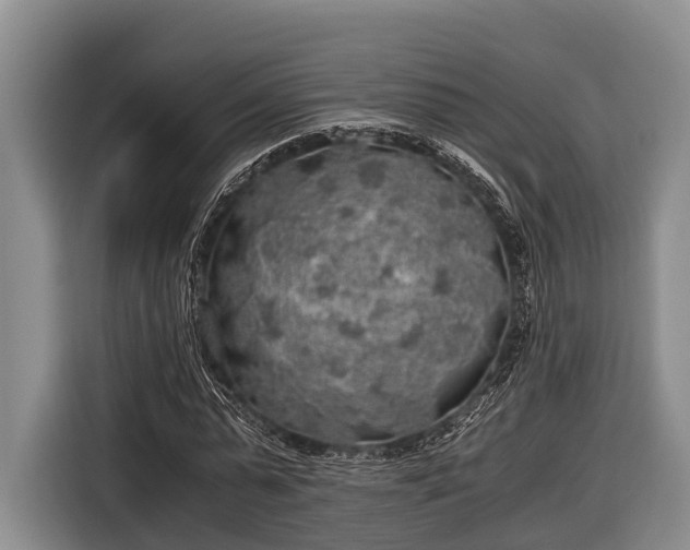 X0000116860775200912291259