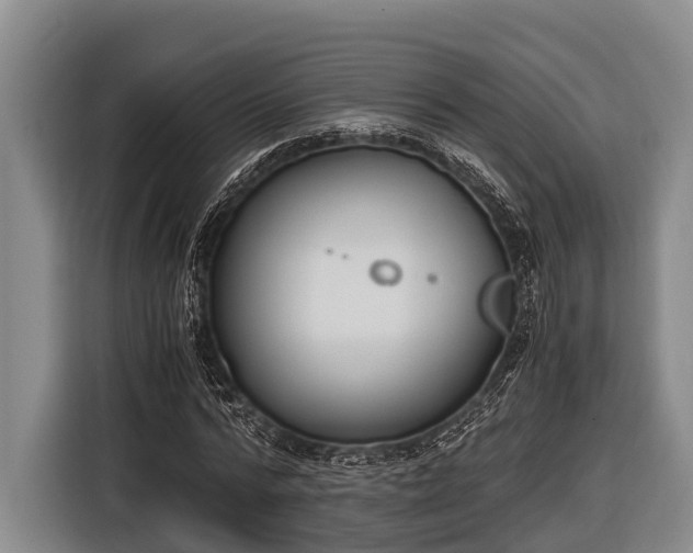 X0000116860776200912291259