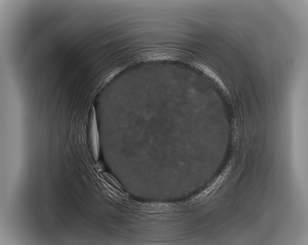 X0000116860777200912291259