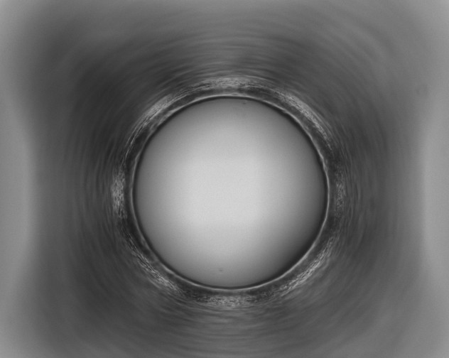 X0000116860778200912291259