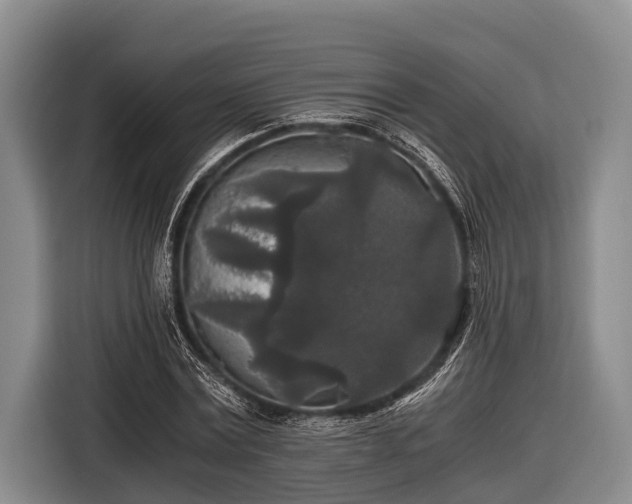 X0000116860779200912291259