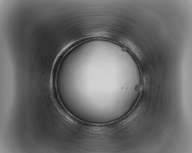 X0000116860780200912291259