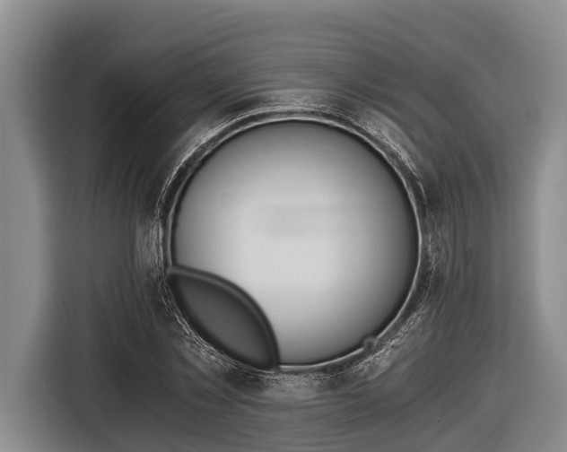 X0000116860781200912291259