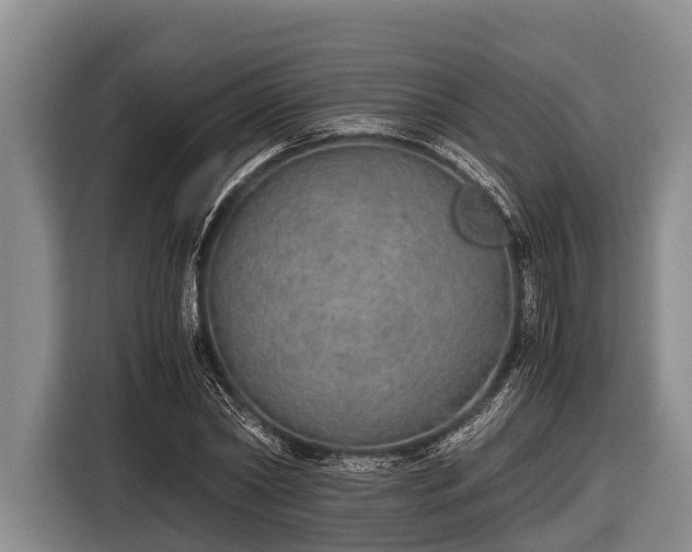 X0000116860782200912291259