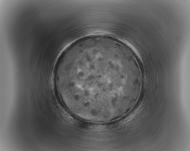 X0000116860783200912291259