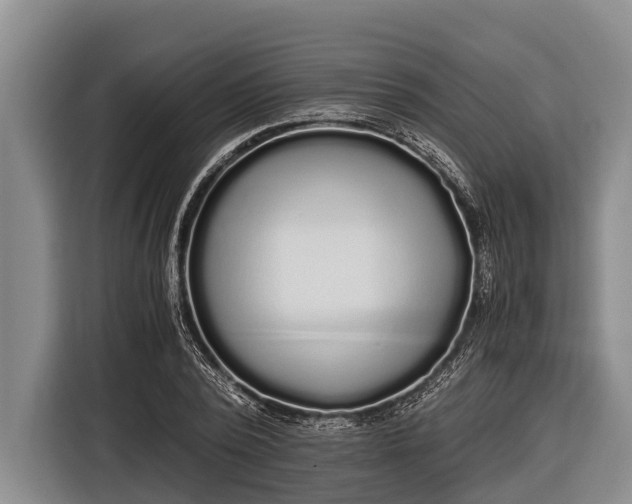 X0000116860784200912291259