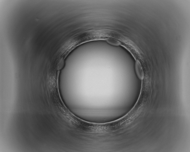 X0000116860785200912291259