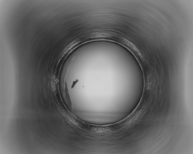 X0000116860786200912291259