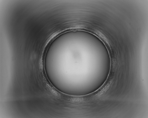 X0000116860789200912291259