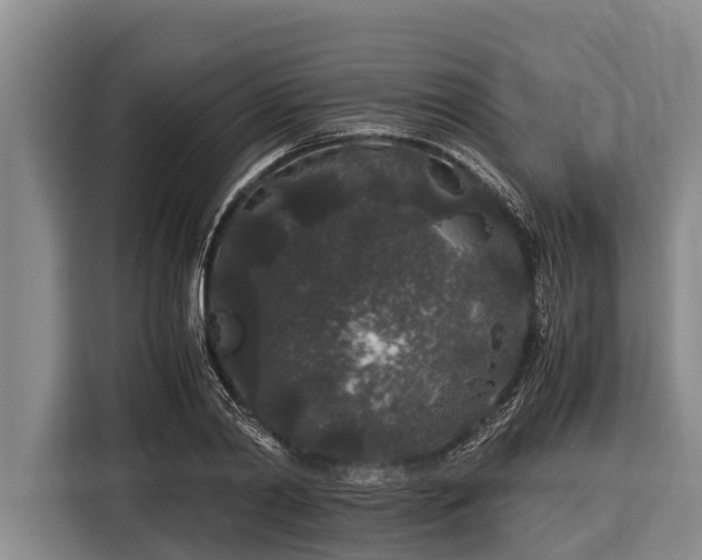 X0000116860790200912291259