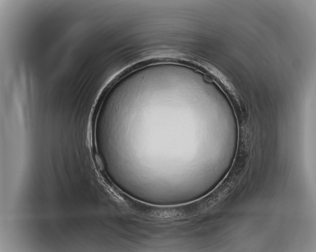 X0000116860791200912291259