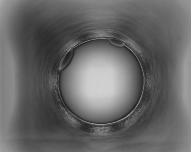 X0000116860793200912291259