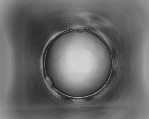 X0000116860795200912291259