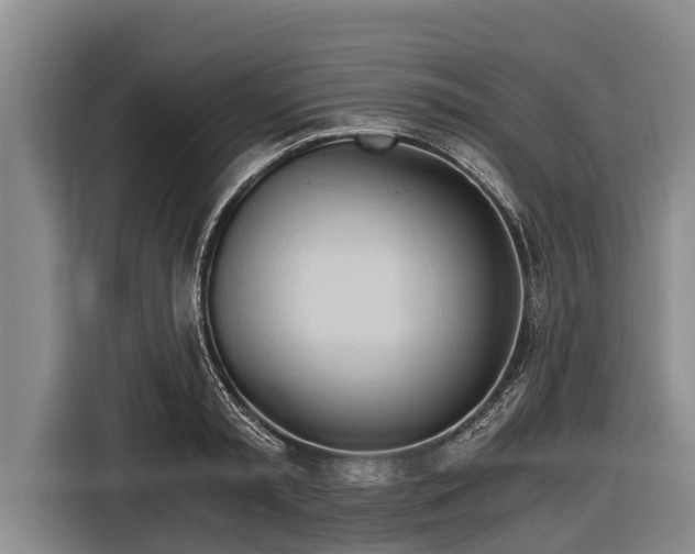 X0000116860797200912291259