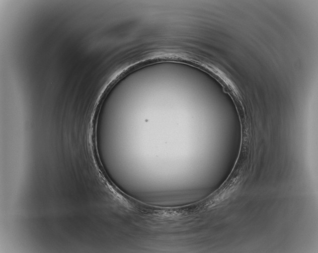 X0000116860799200912291259