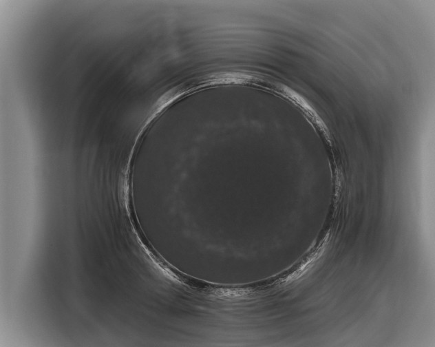 X0000116860802200912291259