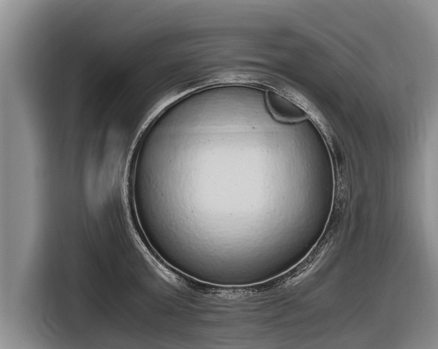 X0000116860803200912291259