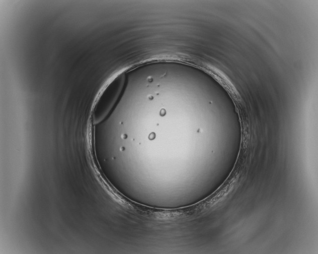 X0000116860804200912291259