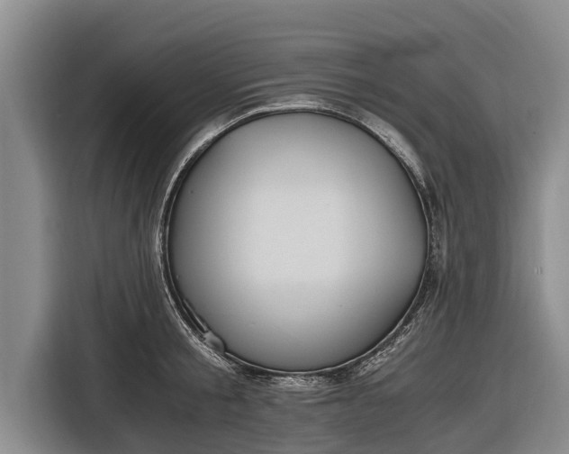 X0000116860805200912291259