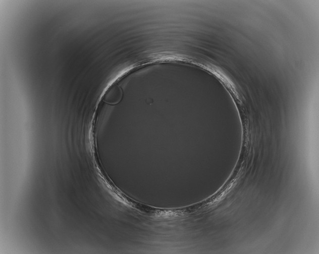 X0000116860806200912291258