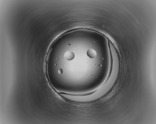 X0000116860807200912291258