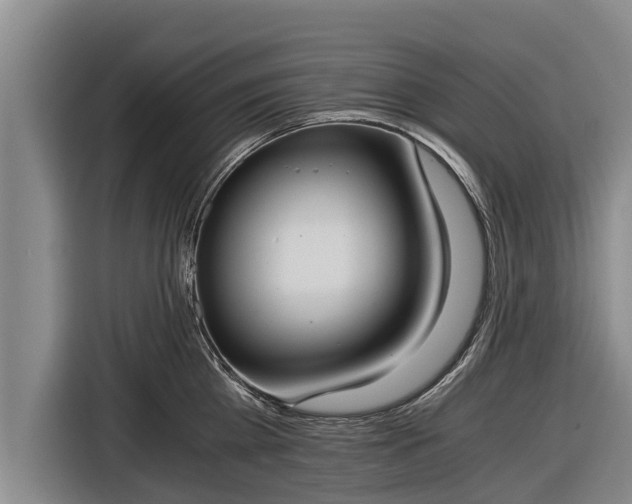 X0000116860809200912291258